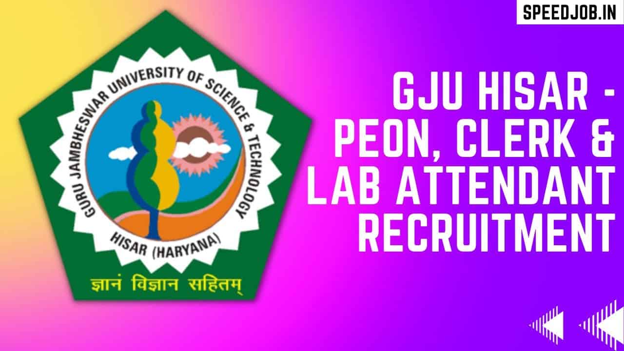 Gju hisar recruitment 1 Gju-clerk-peon-lab attendant