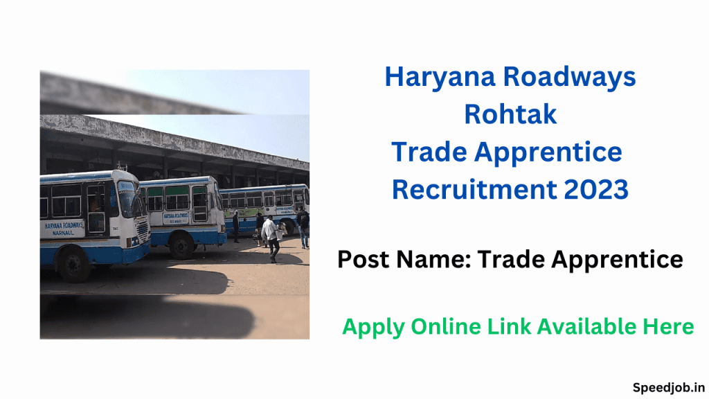 Rohtak roadways trade apprentice recruitment 2023